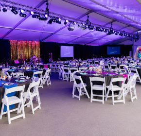 The SPCA Gala raises funds for the Sacramento SPCA. It is held annually in October.